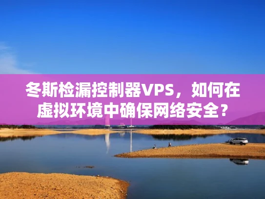 冬斯检漏控制器VPS，如何在虚拟环境中确保网络安全？