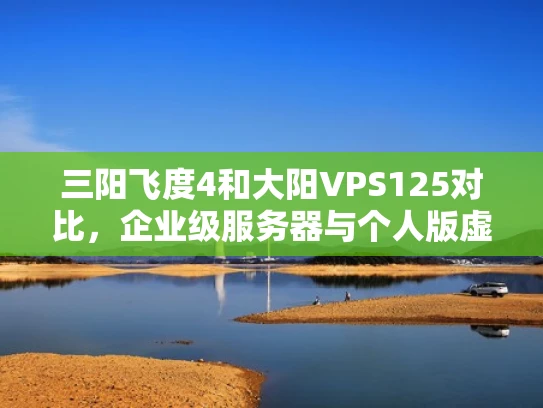 三阳飞度4和大阳VPS125对比，企业级服务器与个人版虚拟机的优劣势分析