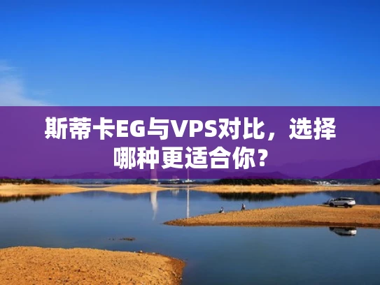 斯蒂卡EG与VPS对比，选择哪种更适合你？