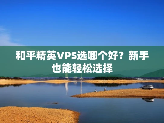和平精英VPS选哪个好？新手也能轻松选择