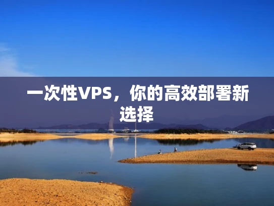 一次性VPS，你的高效部署新选择