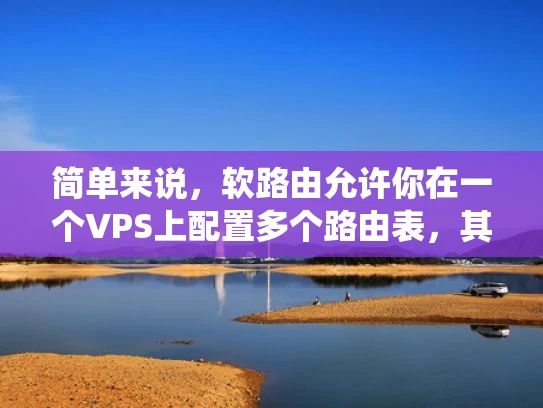 简单来说，软路由允许你在一个VPS上配置多个路由表，其中一个路由表用于其他VPS或Web应用。这种方式可以提高网络性能，减少资源浪费，同时避免传统VPS路由表的限制