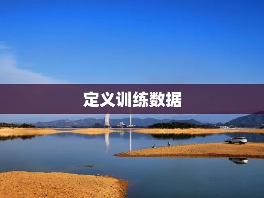 定义训练数据