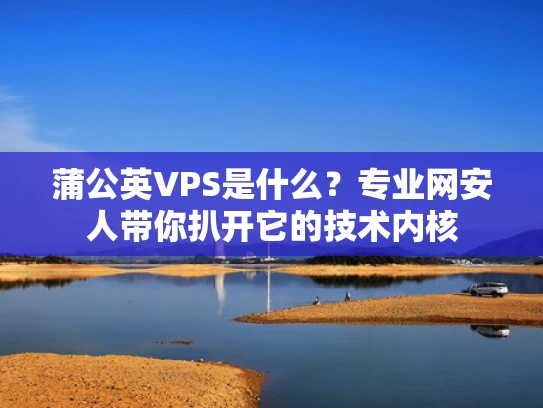 蒲公英VPS是什么？专业网安人带你扒开它的技术内核