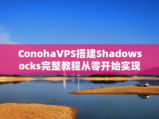 ConohaVPS搭建Shadowsocks完整教程从零开始实现稳定科学上网