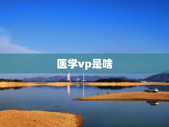 医学vp是啥
