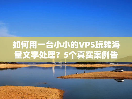 如何用一台小小的VPS玩转海量文字处理？5个真实案例告诉你答案