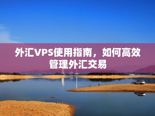 外汇VPS使用指南，如何高效管理外汇交易