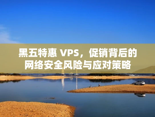 黑五特惠 VPS，促销背后的网络安全风险与应对策略