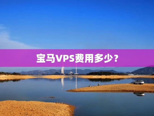 宝马VPS费用多少？