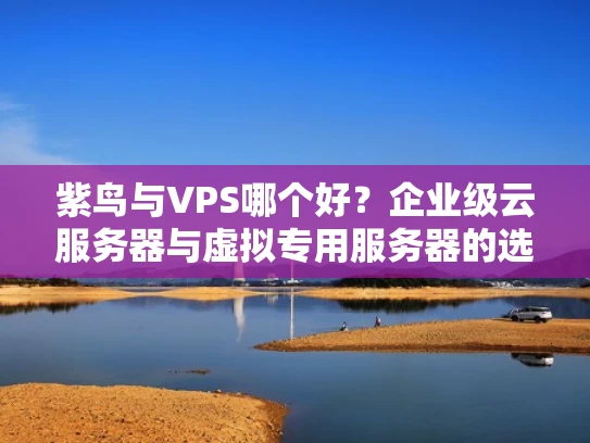 紫鸟与VPS哪个好？企业级云服务器与虚拟专用服务器的选择指南