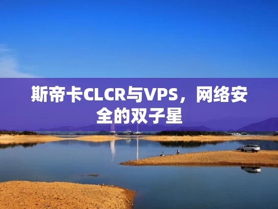 斯帝卡CLCR与VPS，网络安全的双子星