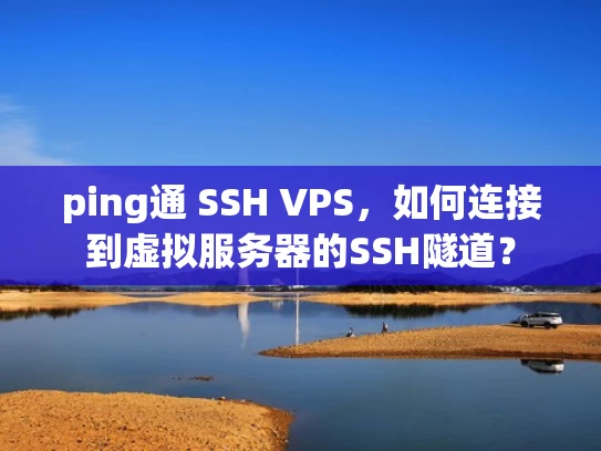 ping通 SSH VPS，如何连接到虚拟服务器的SSH隧道？