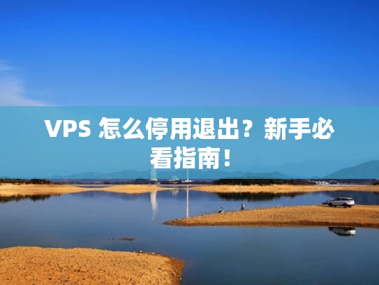 VPS 怎么停用退出？新手必看指南！
