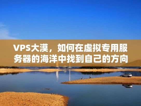VPS大漠，如何在虚拟专用服务器的海洋中找到自己的方向？