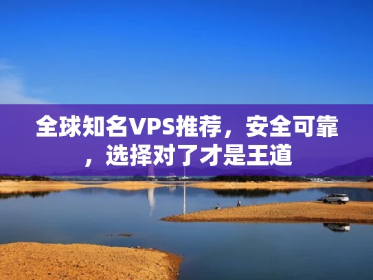 全球知名VPS推荐，安全可靠，选择对了才是王道