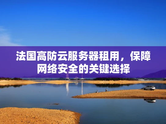 法国高防云服务器租用，保障网络安全的关键选择