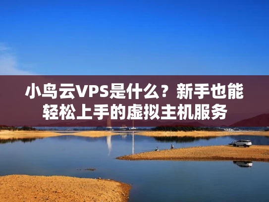 小鸟云VPS是什么？新手也能轻松上手的虚拟主机服务