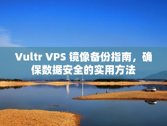 Vultr VPS 镜像备份指南，确保数据安全的实用方法