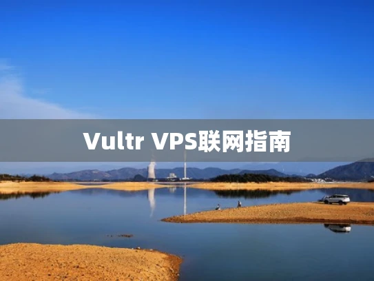 Vultr VPS联网指南