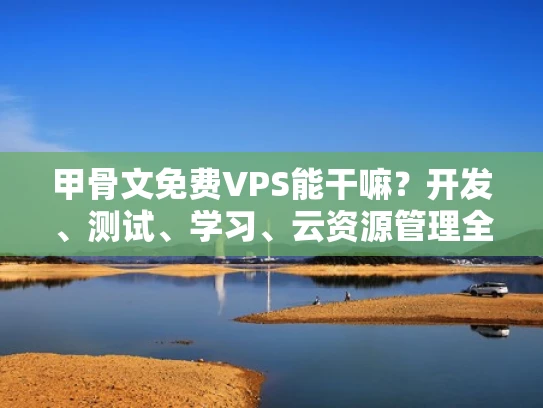 甲骨文免费VPS能干嘛？开发、测试、学习、云资源管理全都有