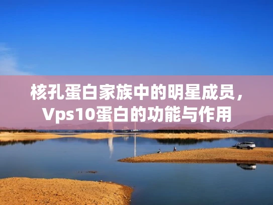 核孔蛋白家族中的明星成员，Vps10蛋白的功能与作用