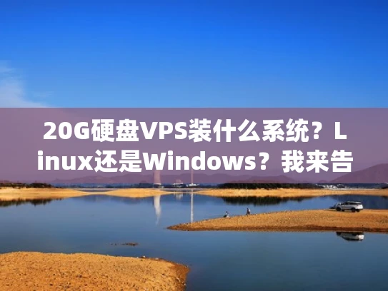 20G硬盘VPS装什么系统？Linux还是Windows？我来告诉你！
