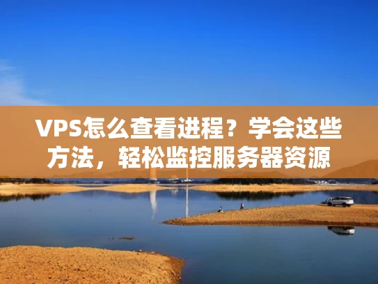 VPS怎么查看进程？学会这些方法，轻松监控服务器资源