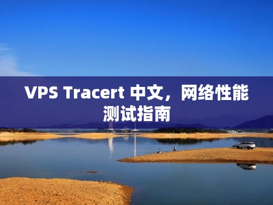 VPS Tracert 中文，网络性能测试指南