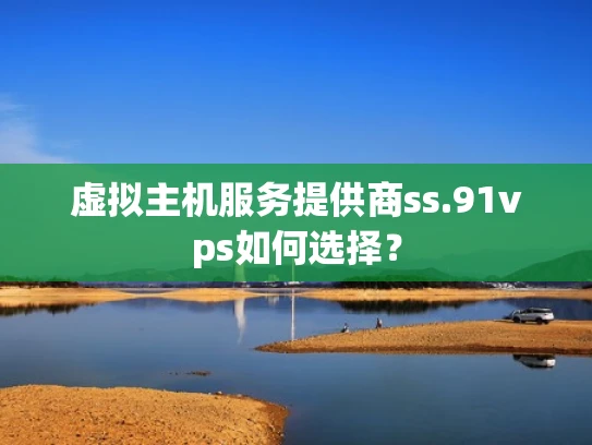 虚拟主机服务提供商ss.91vps如何选择？