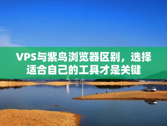 VPS与紫鸟浏览器区别，选择适合自己的工具才是关键