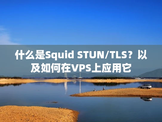 什么是Squid STUN/TLS？以及如何在VPS上应用它