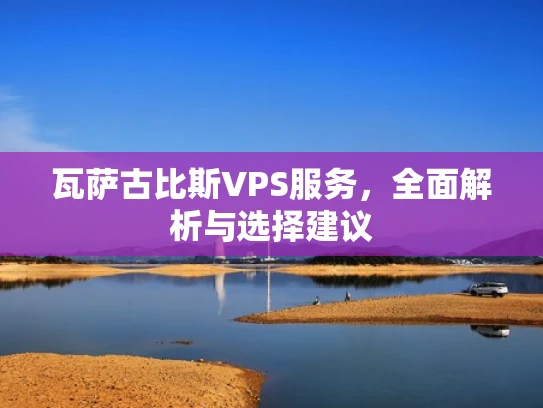 瓦萨古比斯VPS服务，全面解析与选择建议