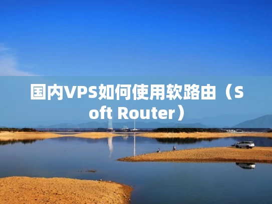 国内VPS如何使用软路由（Soft Router）