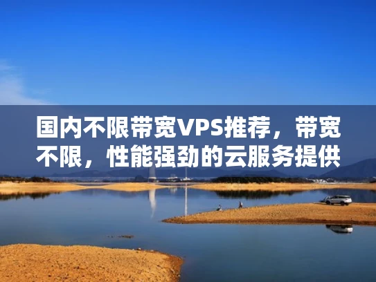 国内不限带宽VPS推荐，带宽不限，性能强劲的云服务提供商