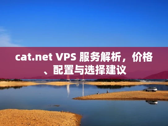 cat.net VPS 服务解析，价格、配置与选择建议