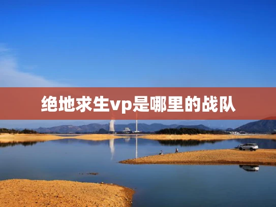 绝地求生vp是哪里的战队