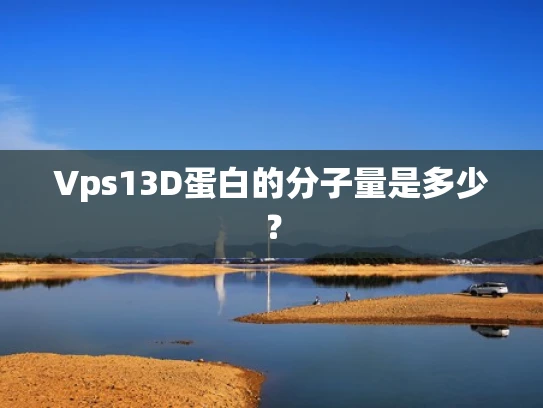 Vps13D蛋白的分子量是多少？