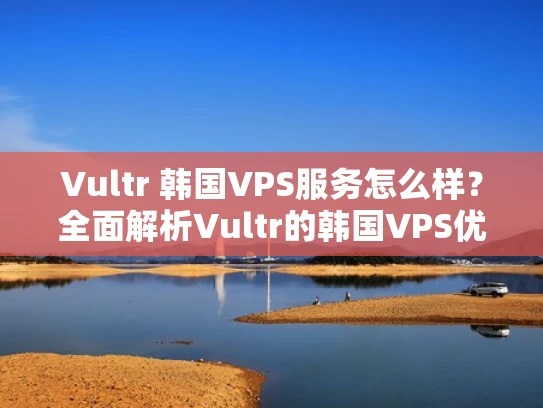 Vultr 韩国VPS服务怎么样？全面解析Vultr的韩国VPS优势与不足