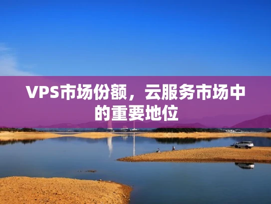 VPS市场份额，云服务市场中的重要地位