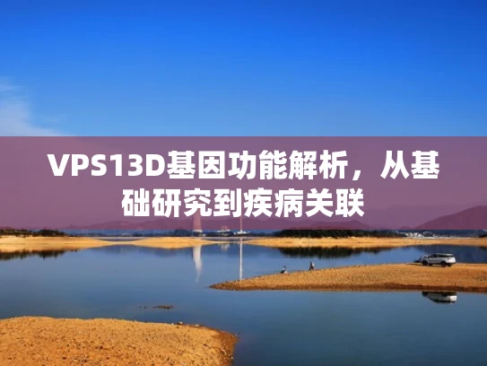 VPS13D基因功能解析，从基础研究到疾病关联