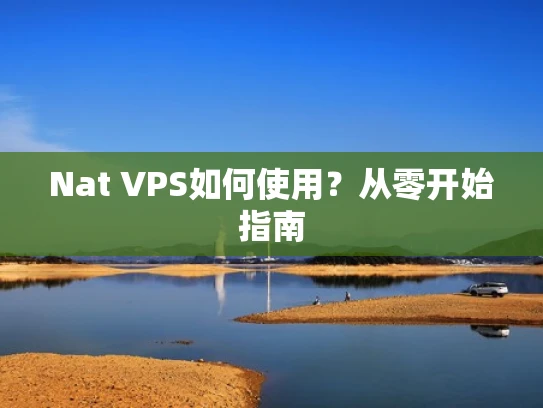 Nat VPS如何使用？从零开始指南
