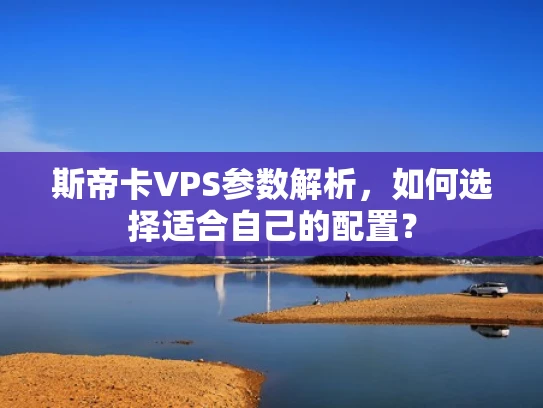 斯帝卡VPS参数解析，如何选择适合自己的配置？