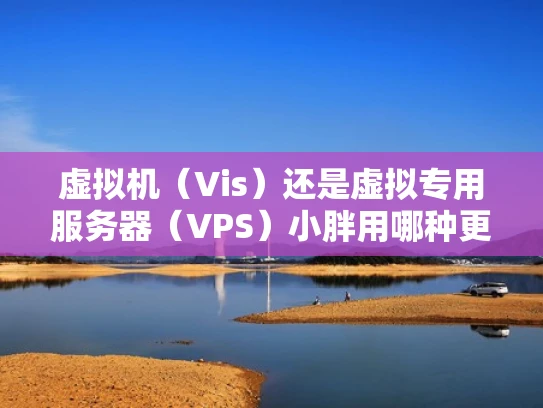 虚拟机（Vis）还是虚拟专用服务器（VPS）小胖用哪种更合适？
