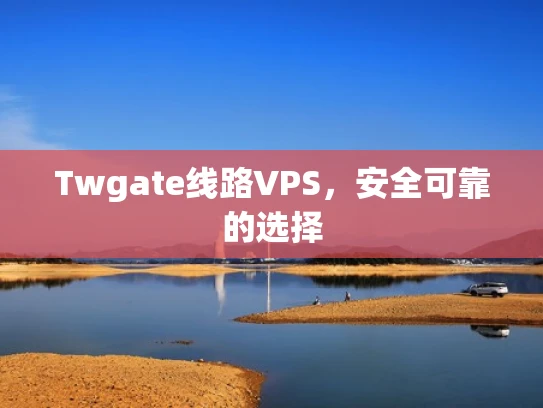 Twgate线路VPS，安全可靠的选择