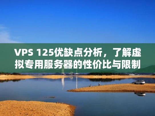 VPS 125优缺点分析，了解虚拟专用服务器的性价比与限制