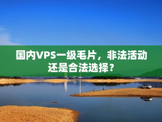 国内VPS一级毛片，非法活动还是合法选择？
