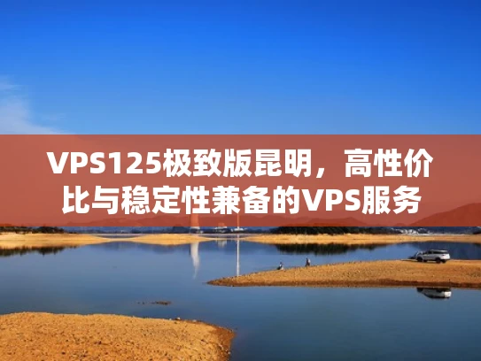 VPS125极致版昆明，高性价比与稳定性兼备的VPS服务