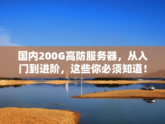 国内200G高防服务器，从入门到进阶，这些你必须知道！