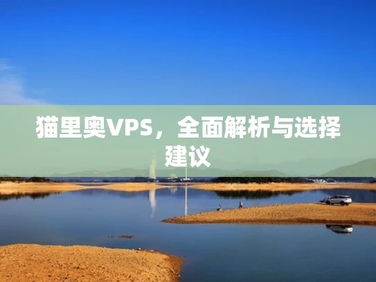 猫里奥VPS，全面解析与选择建议